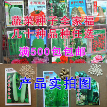 大白瓜价格走势及最新市场行情分析