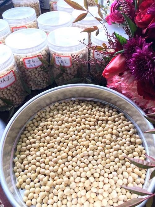 大豆翠扇种子 精品豆种厂家直销，助力丰收